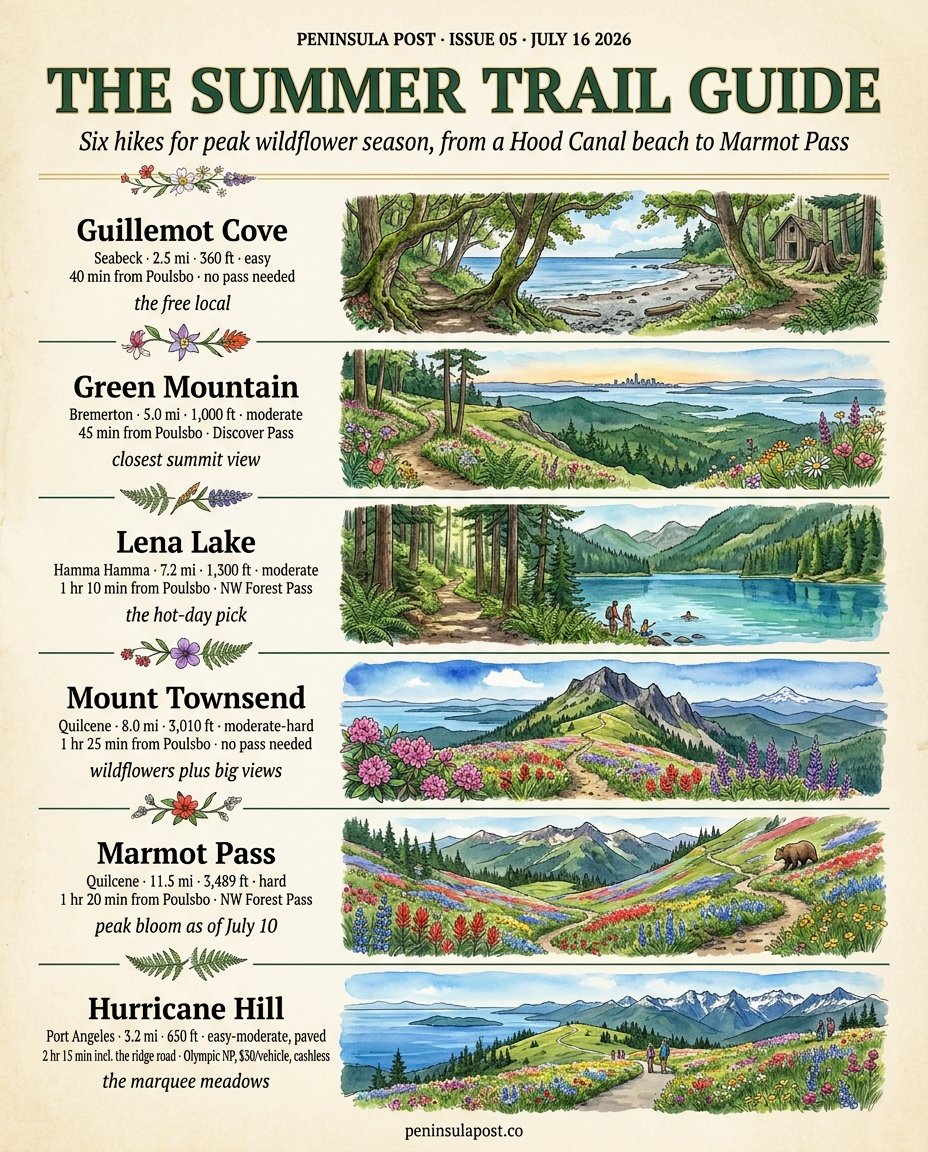 Peninsula Post: the Summer Trail Guide, six hikes in watercolor.